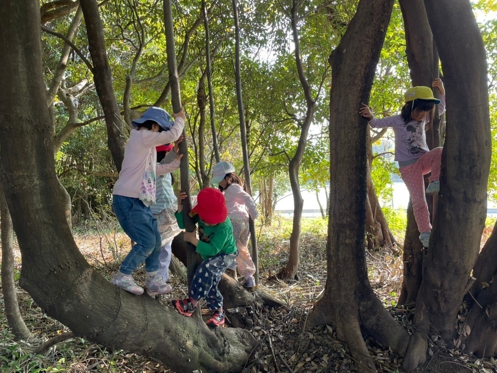 いっしょに育てる公園づくり