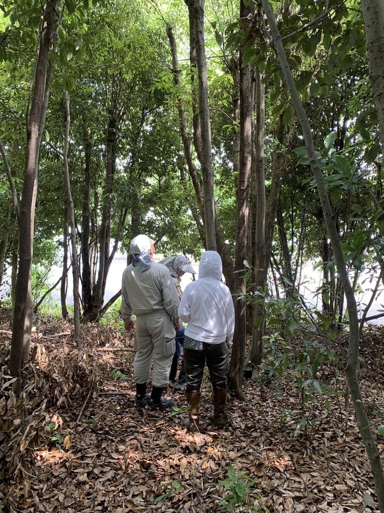 いっしょに育てる公園づくり