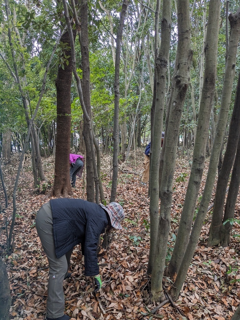 いっしょに育てる公園づくり